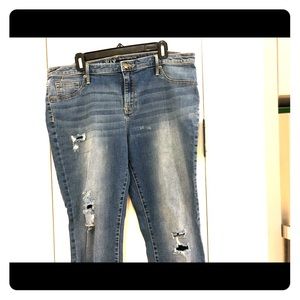 Ava Viv PS 16W for Target